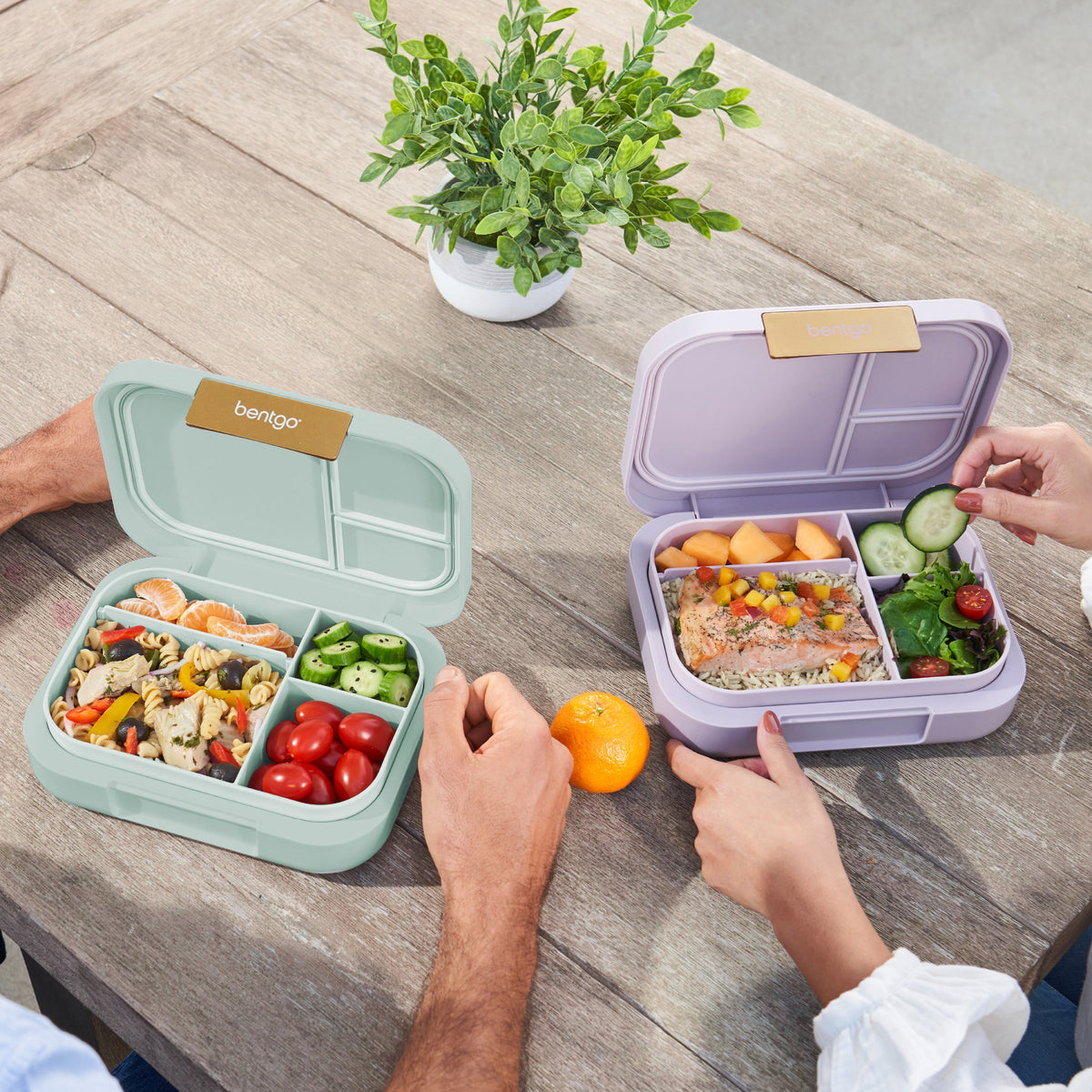 bentgo-modern-lunch-box-2-pack-f2 COSTCOBMCPRODUCTIMAGE_2.jpg